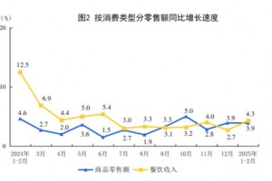 2025年1-2月建筑及装潢材料类零售额246亿元