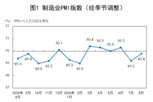 2026年8月PMI环比上升0.6个百分点