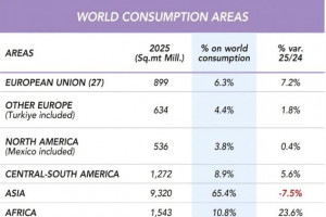 2025年亚洲瓷砖消费量跌至93亿㎡，非洲大增23.6%